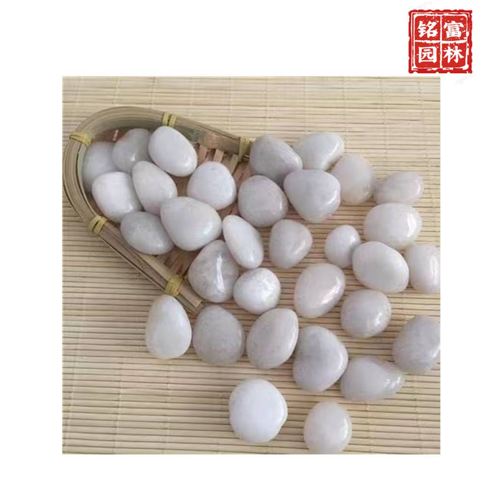 花园路径铺路石-白色鹅卵石-茂名鹅卵石厂家(图11)