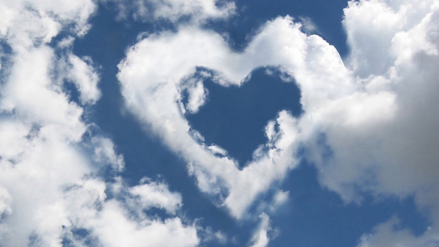 乐鱼体育leyu官网室内运动健身操完整动作