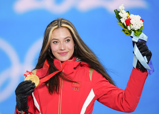 探究标准单杠与普通单杠的异同，你了解吗乐鱼体育官网首页入口？